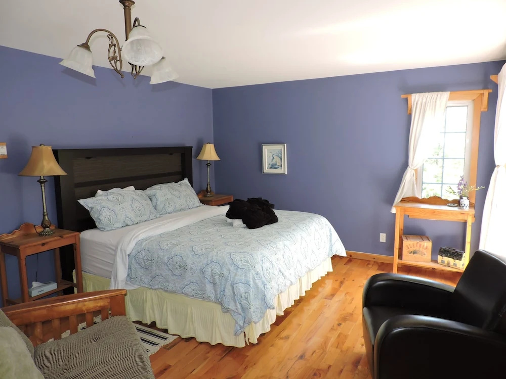 Standard Double room with river view (full double bed)