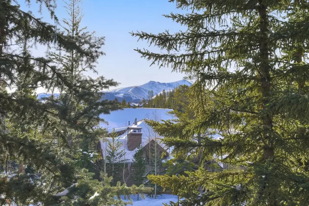Bright, Mountain Modern Breckenridge Condo 1 Bedroom Condo