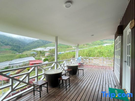 Alpaca Club Homestay