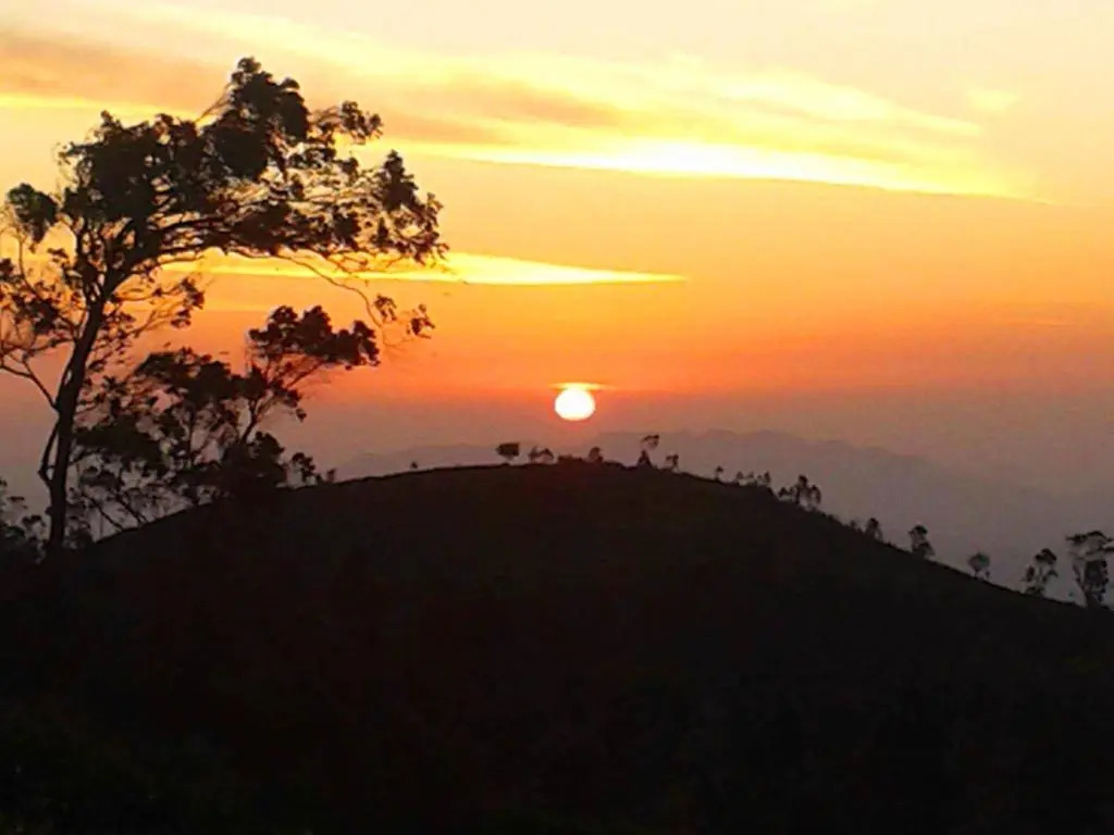 山景標準三人房