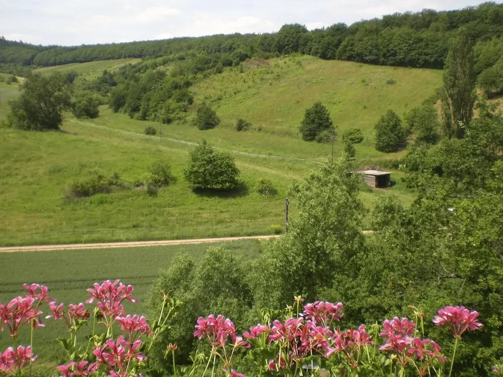 Landhotel Lembergblick - Général
