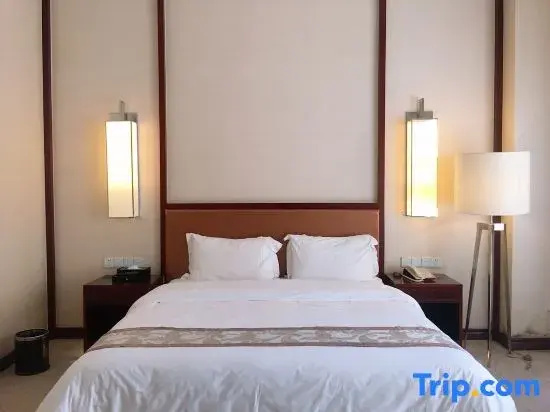 Dolton Changsha Spa Hotel - Chambres