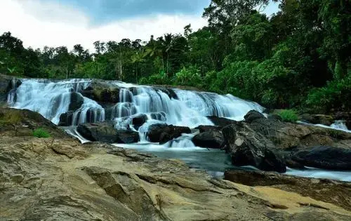 Rivertree Munnar - Général