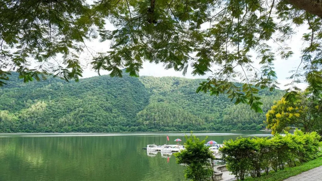 Koi Lake Hotel