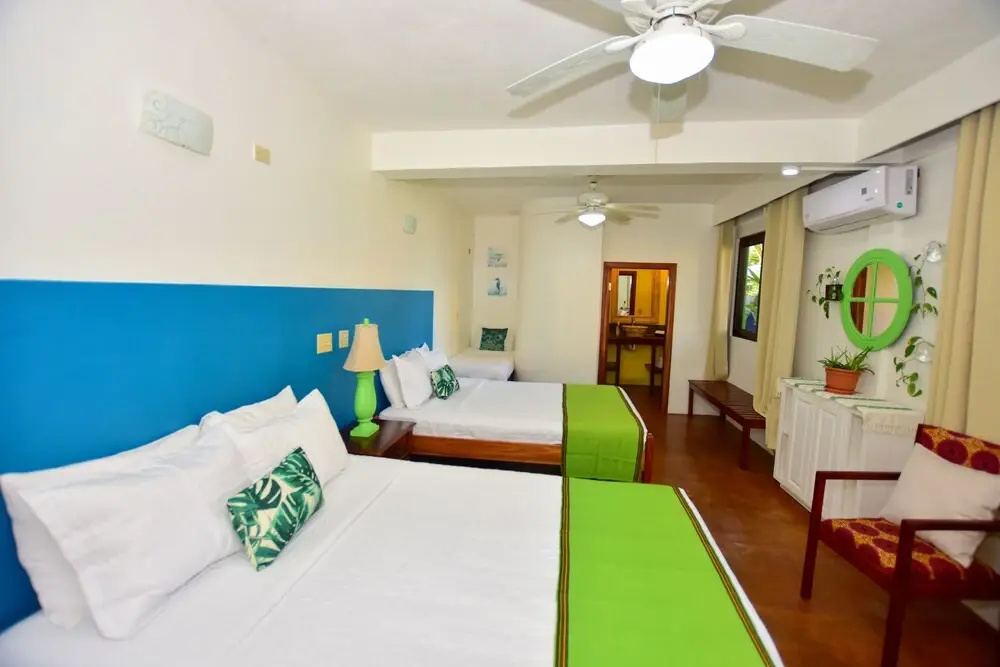 Coconut Row Boutique Hotel - Chambres