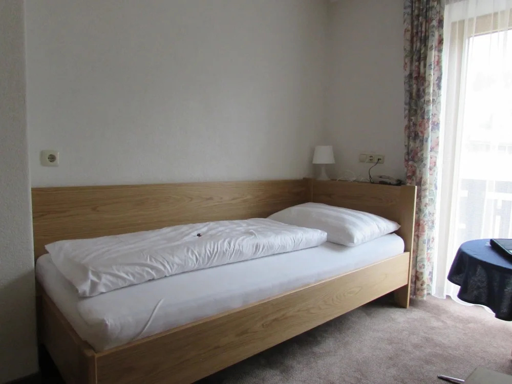 Standard Single room with balcony and with mountain view (single bed)