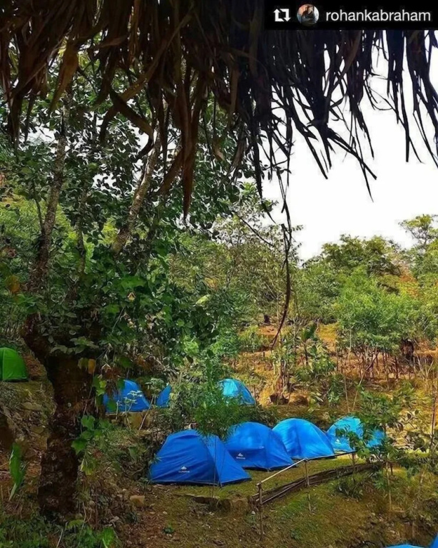Tent