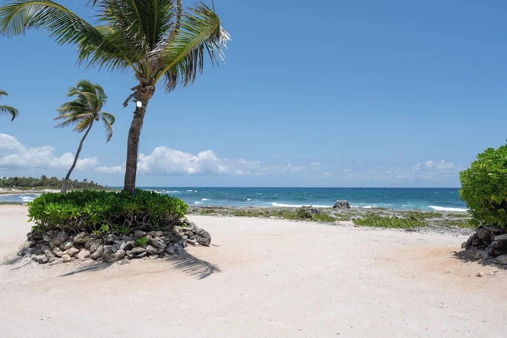 Beach & Waterfront