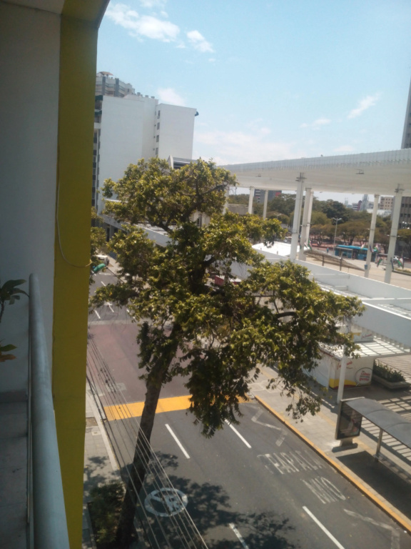 Hotel photo 30