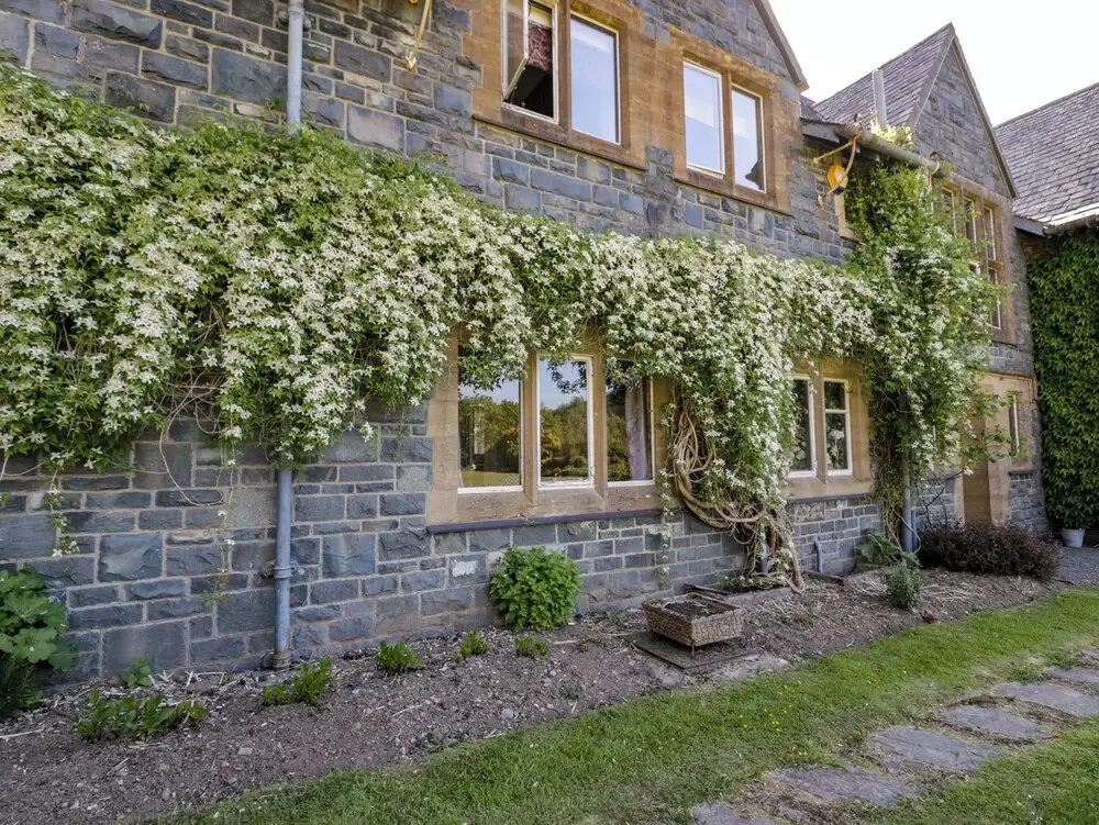 Plas Gwynfryn