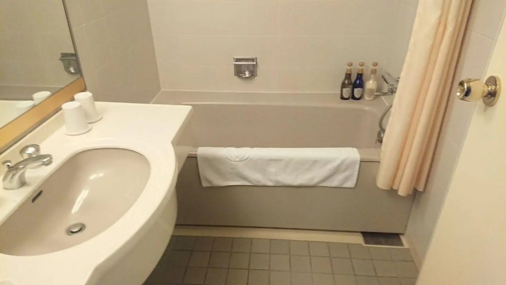 Hotel Diasmont Niigata - Général