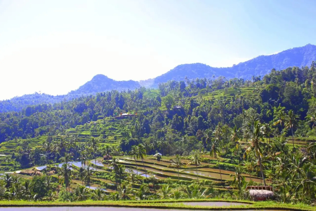 Ananda Homestay
