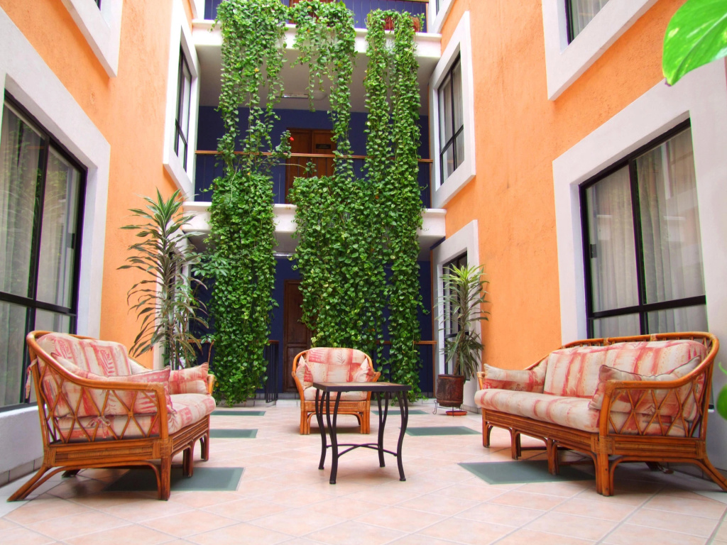 Hotel photo 12