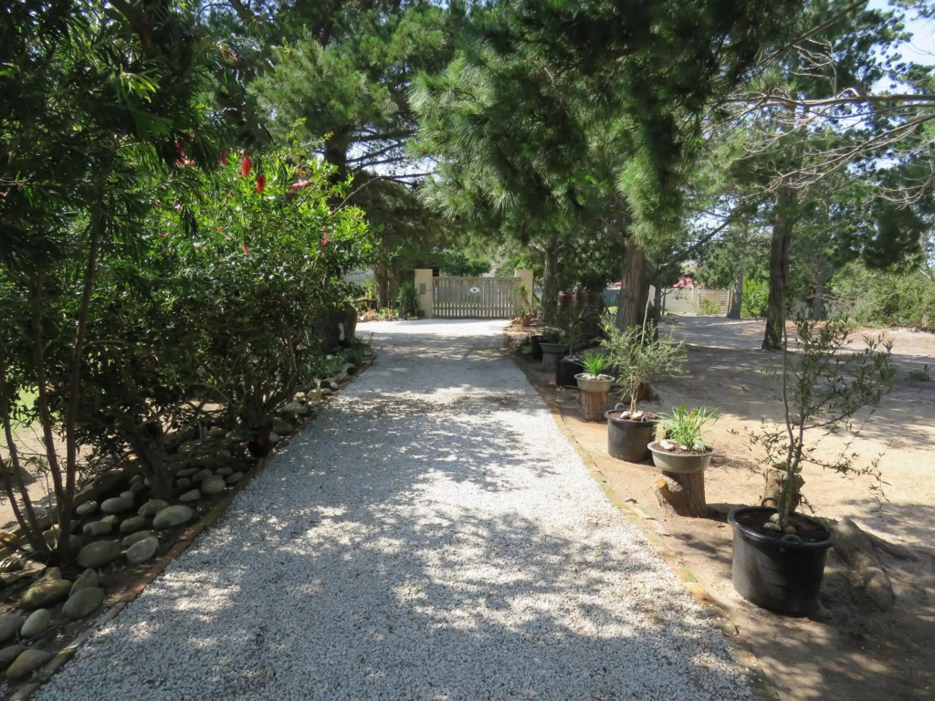 Alpaca Self Catering Cottage Kleinmond
