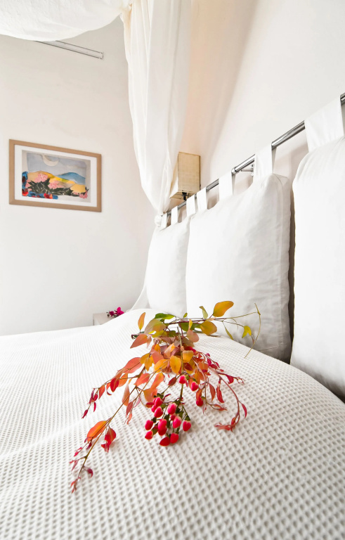 Premium room with balcony and with sea view