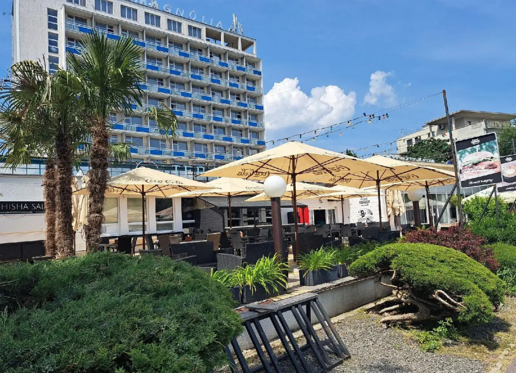 Hotel Magnólia - Général