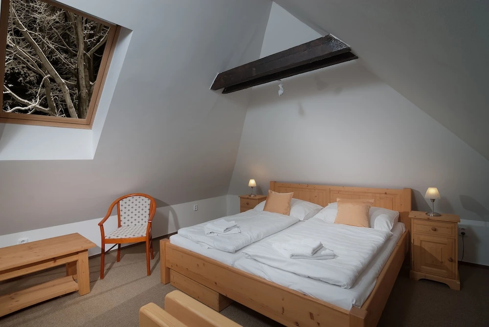 Hotel Domovina - Chambres