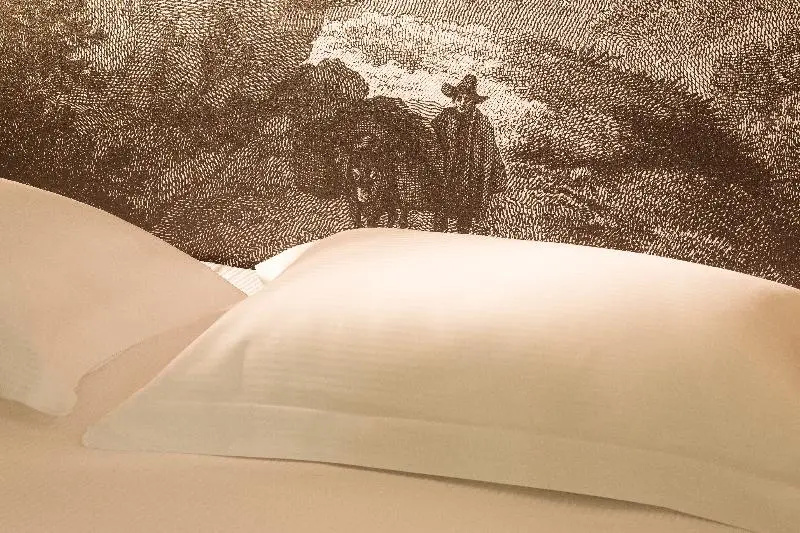 Hotel l'Antoine 105