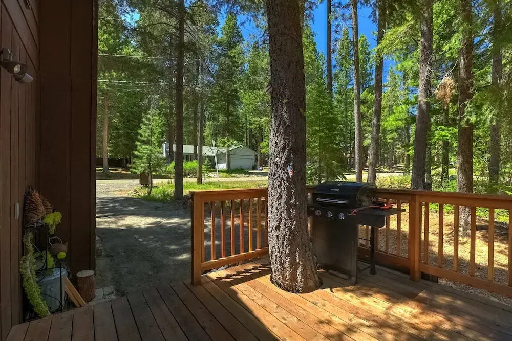 Coziness Cabin - Cute Little Cabin in the Tahoe Woods!