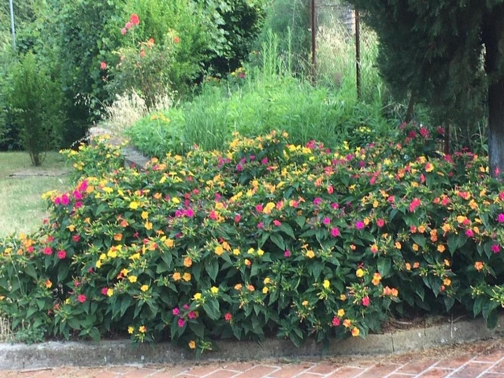 Villa di Nonno Remo