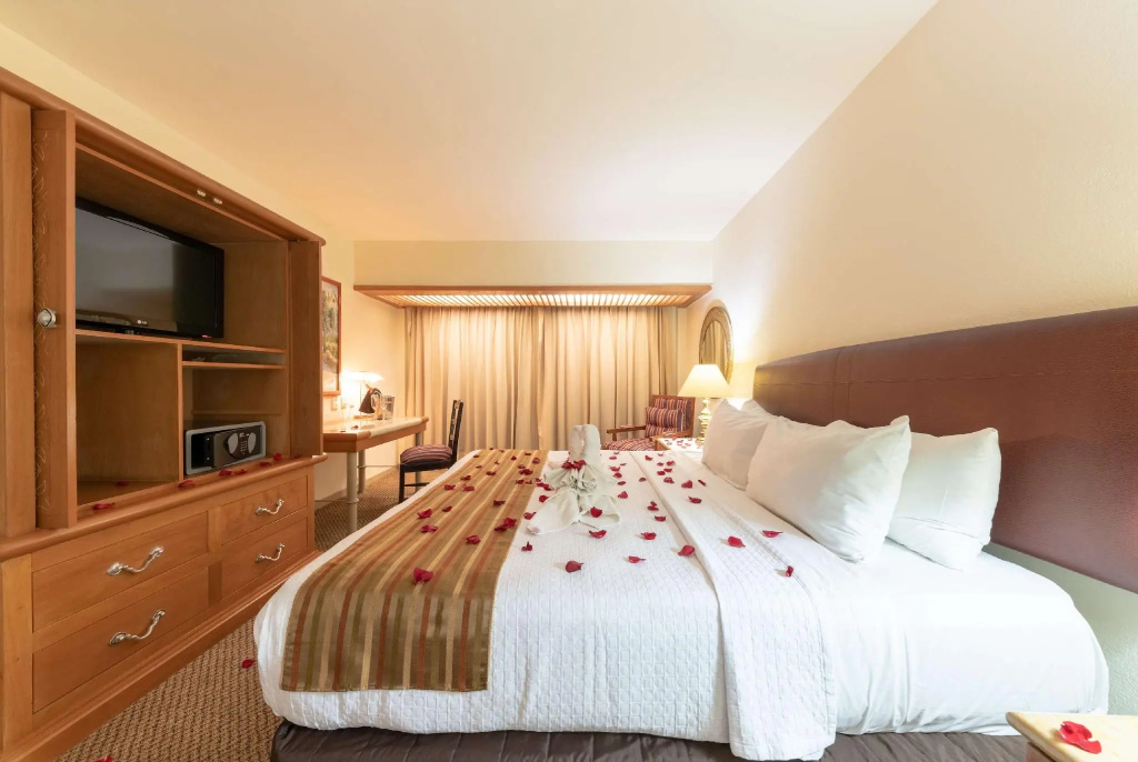 Wyndham Garden Guadalajara Expo - Chambres