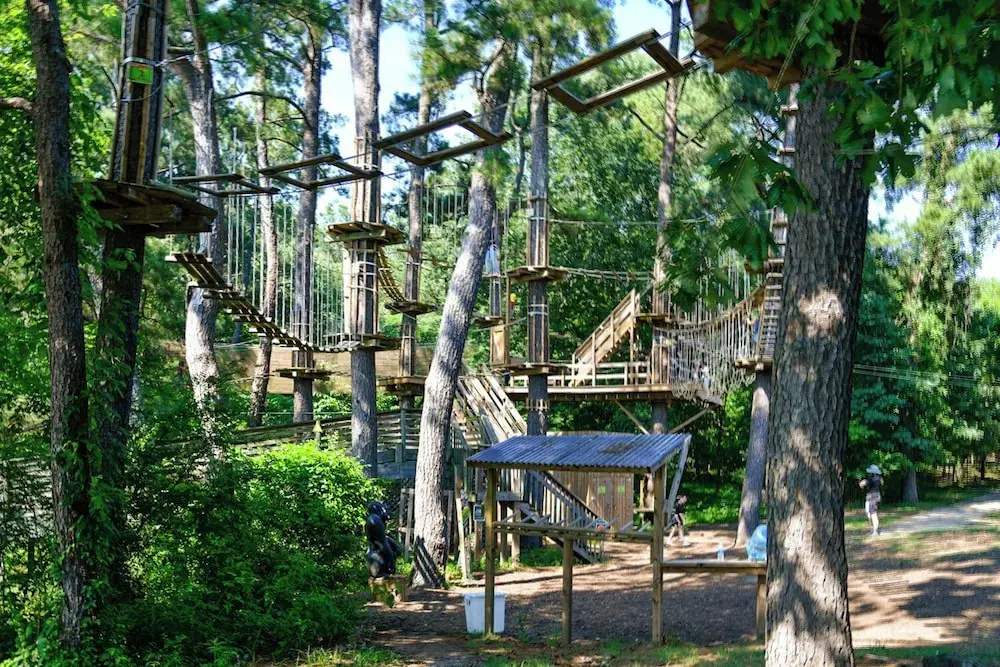 Shelby Farms Greenline Access: Modern Cordova Home
