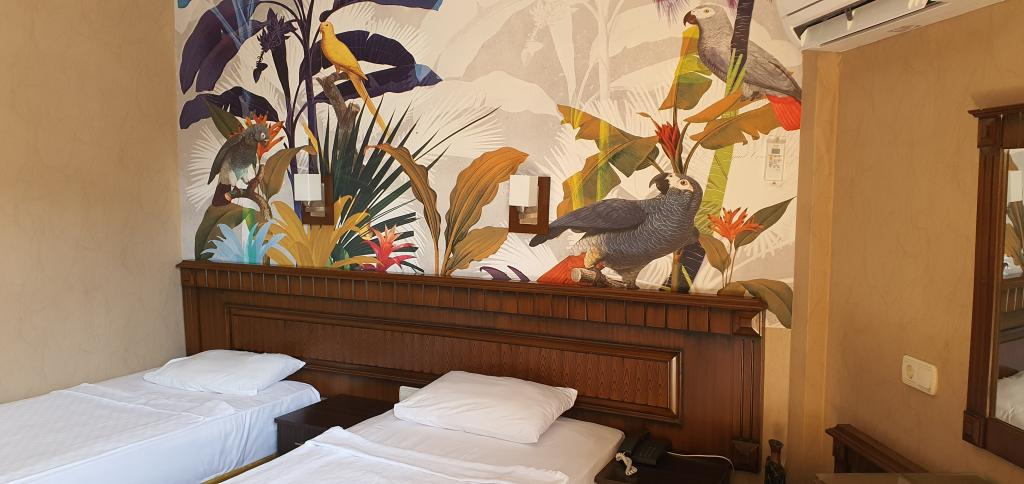 Kleopatra İkiz Otel - Général