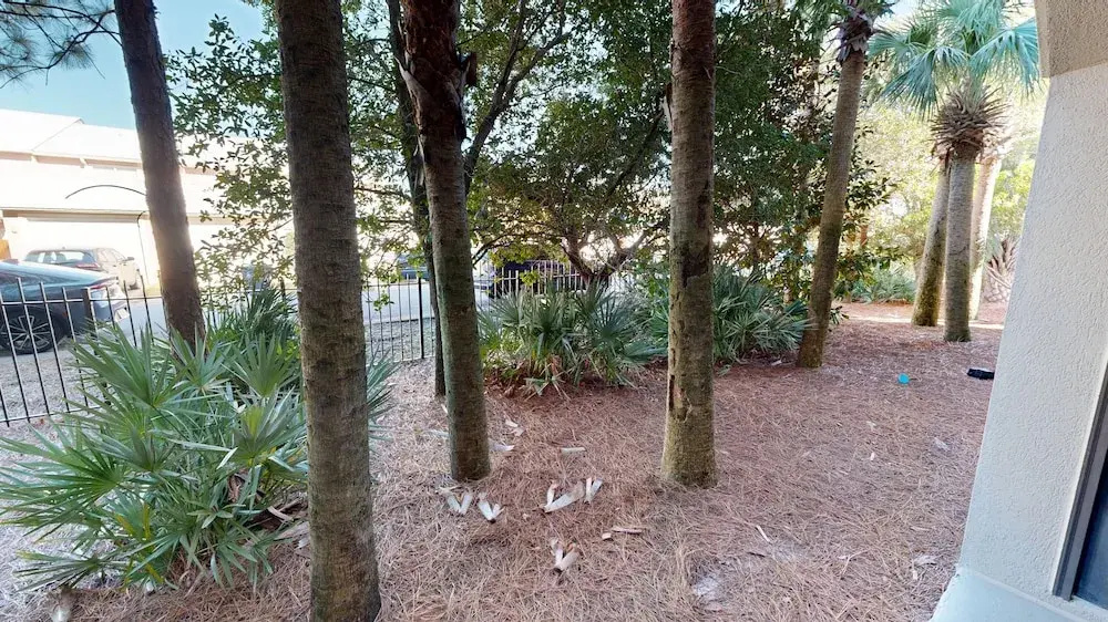 Alerio 103e 2 Bedroom Condo