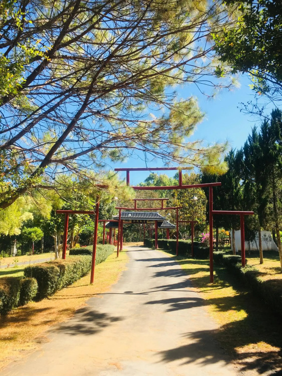 The Natural Yurt Resort at Khao Kho - фото 41