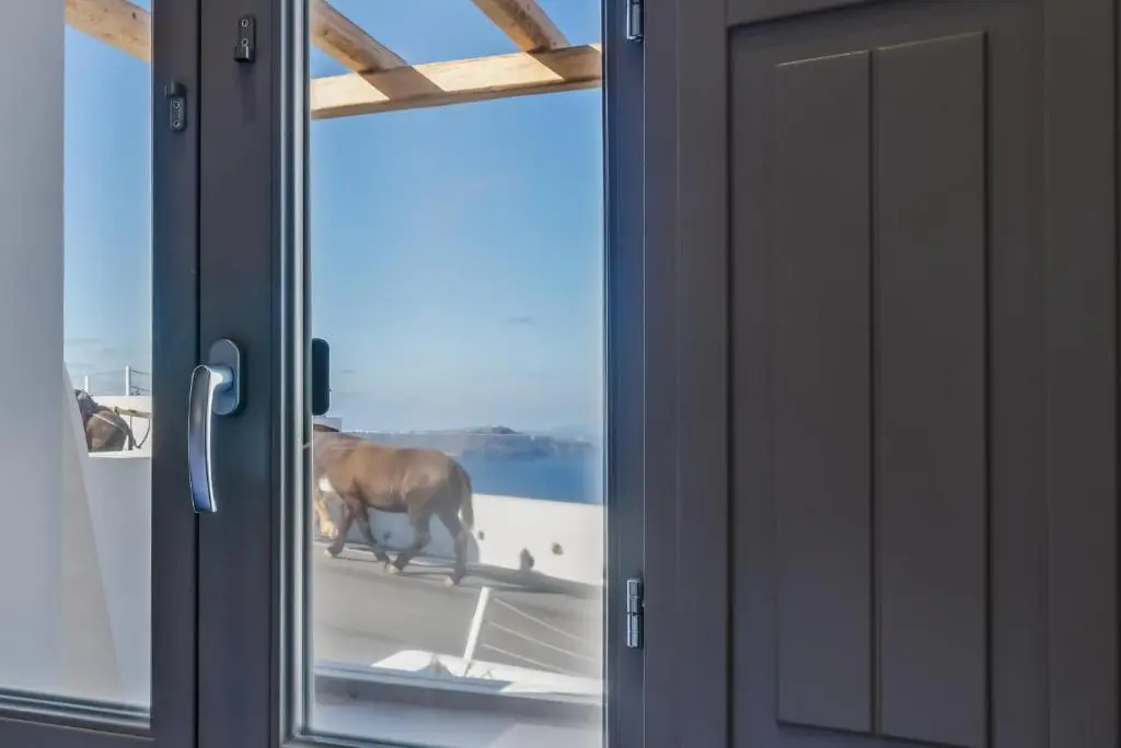 Suite with balcony