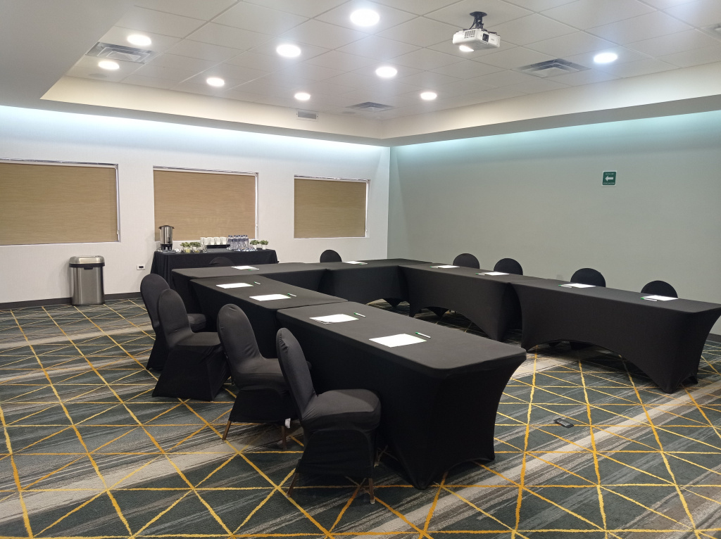 Holiday Inn & Suites Chihuahua Expo - Général