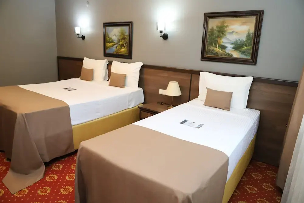 Standard Double room (twin beds)
