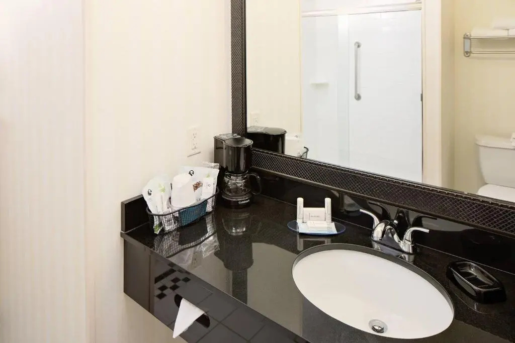 Fairfield Inn & Suites by Marriott Dallas Mansfield - Chambres