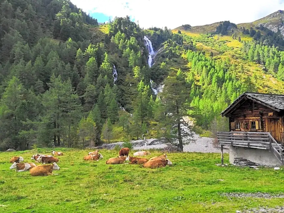 Scol Sporthotel Gro Glockner - Général