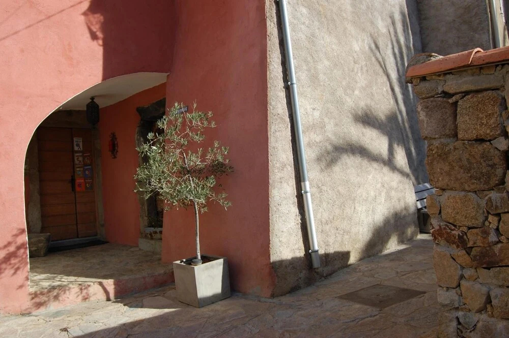 E Casalte