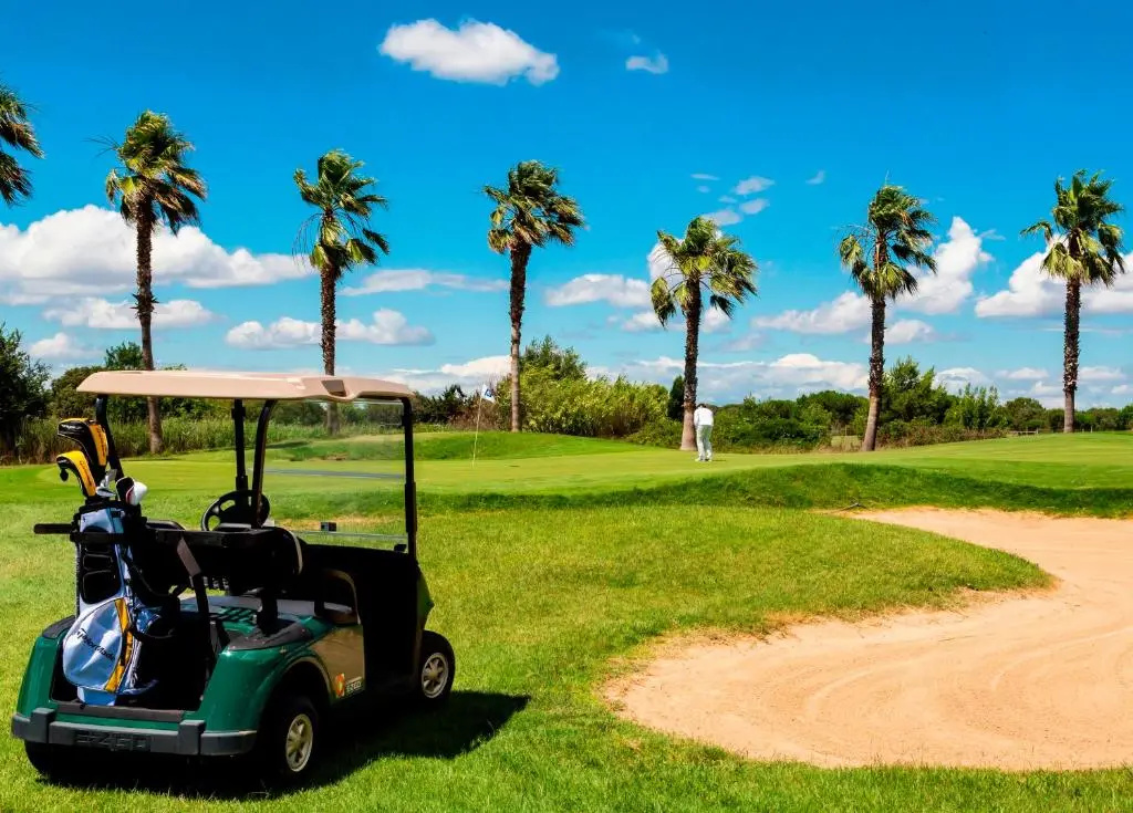 Le Palmyra Golf Hotel - Général