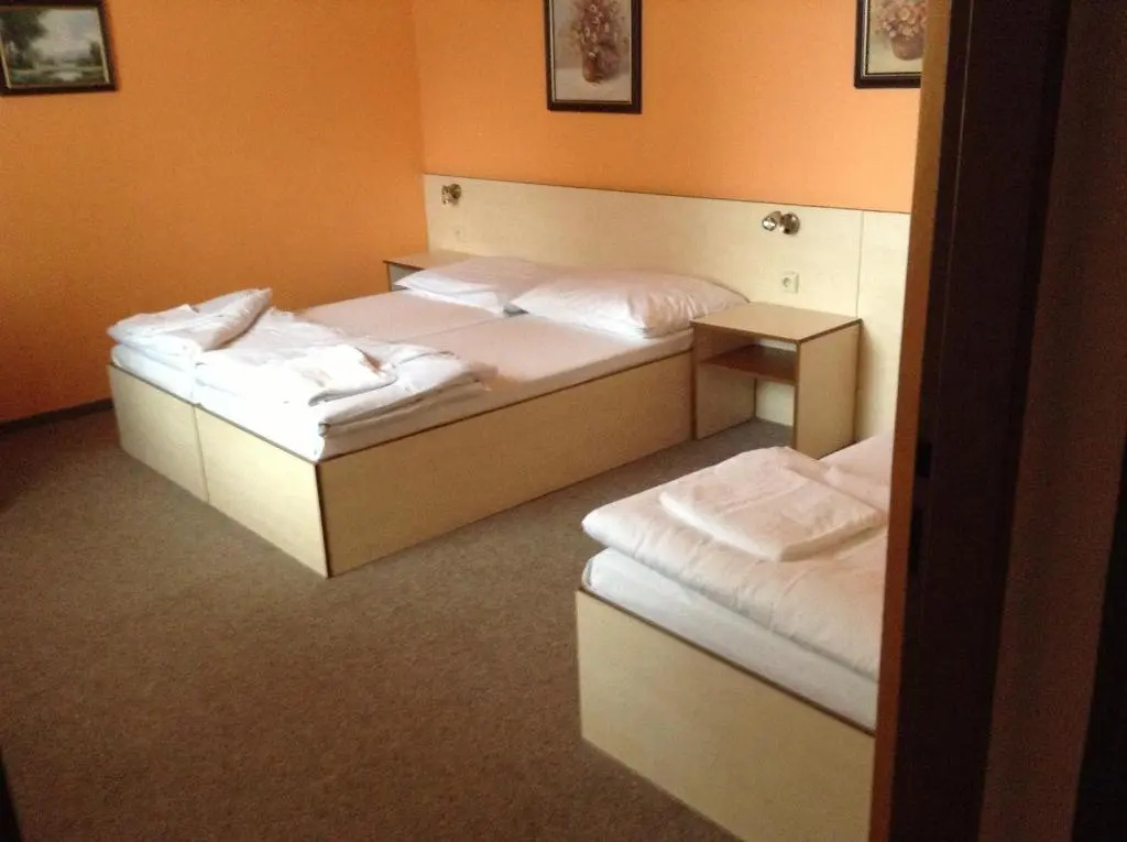 Hotel Mlyn - Jihlava - Général