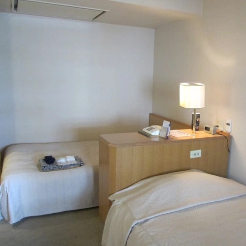 Standard Double room (twin beds)