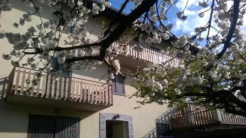 Ristorante Pensione Belandin
