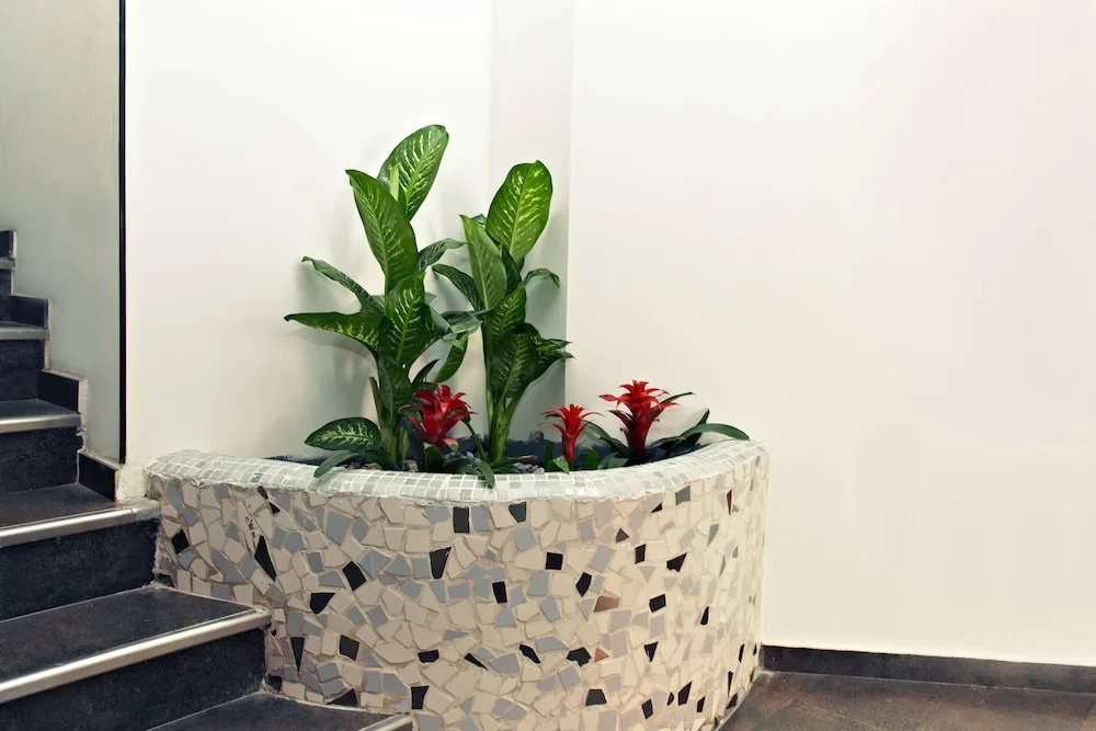 Apartahotel Centric - Général
