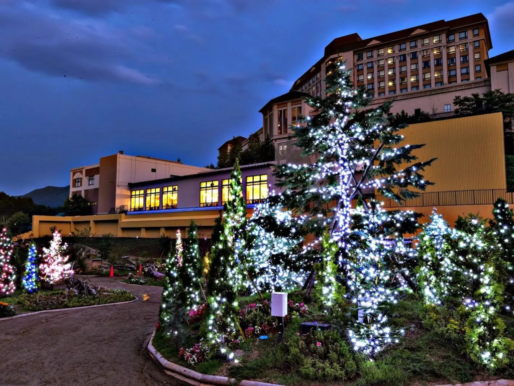 Hotel Morinokaze Ousyuku - Chambres