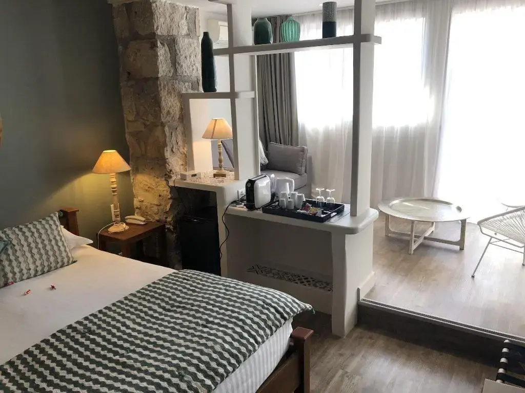 Boutique Hôtel & Spa la Villa Cap Ferrat - Général