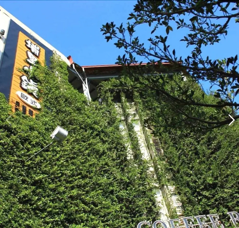 Puli Town Bed and Breakfast