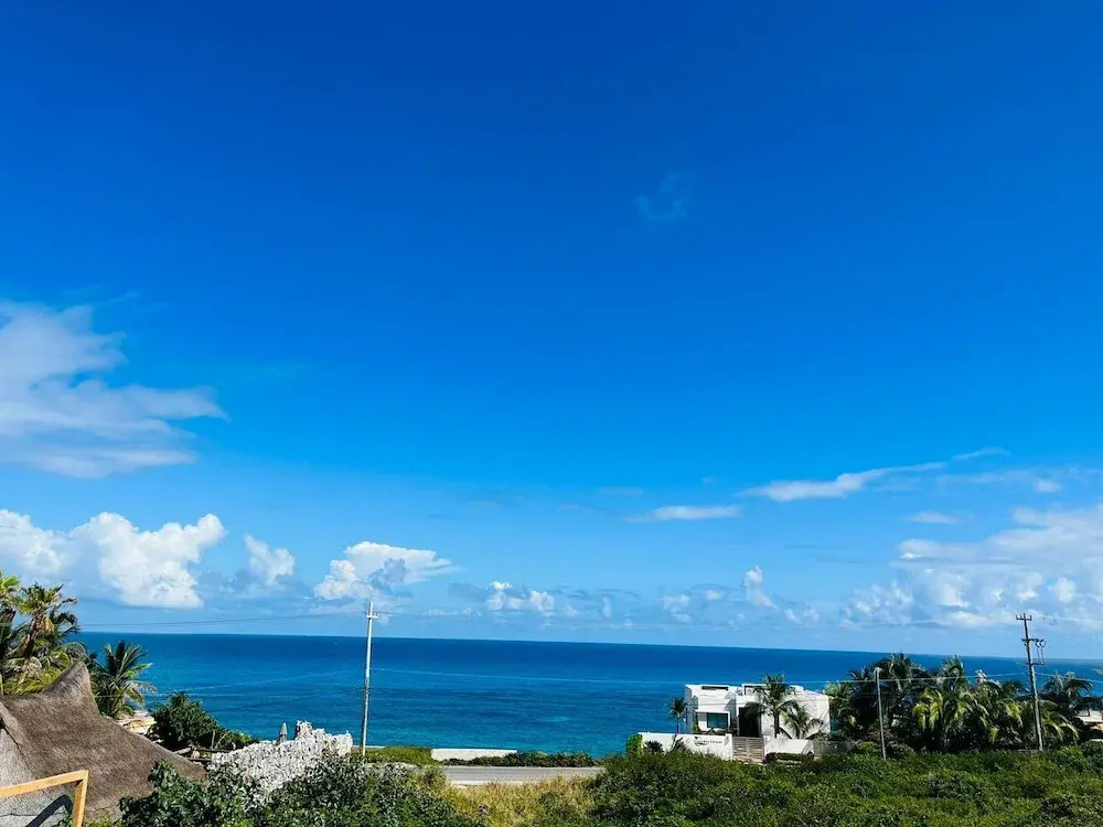 La Diosa Condos penthouse w plunge pool