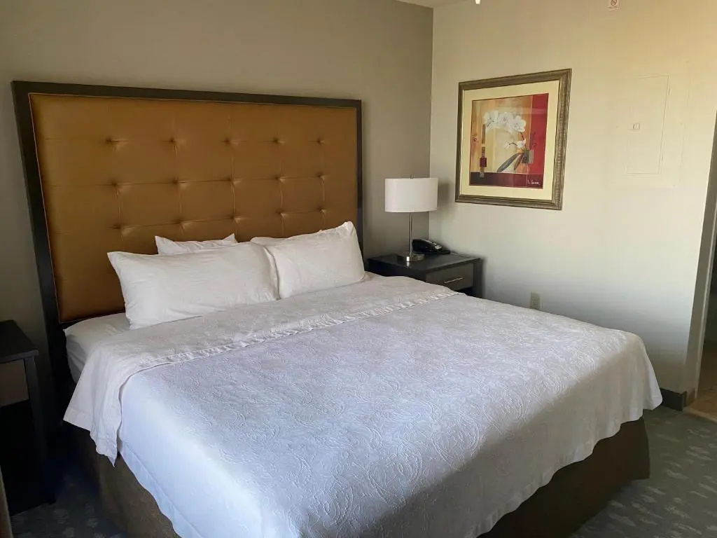 Homewood Suites by Hilton DecaturForsyth - Chambres