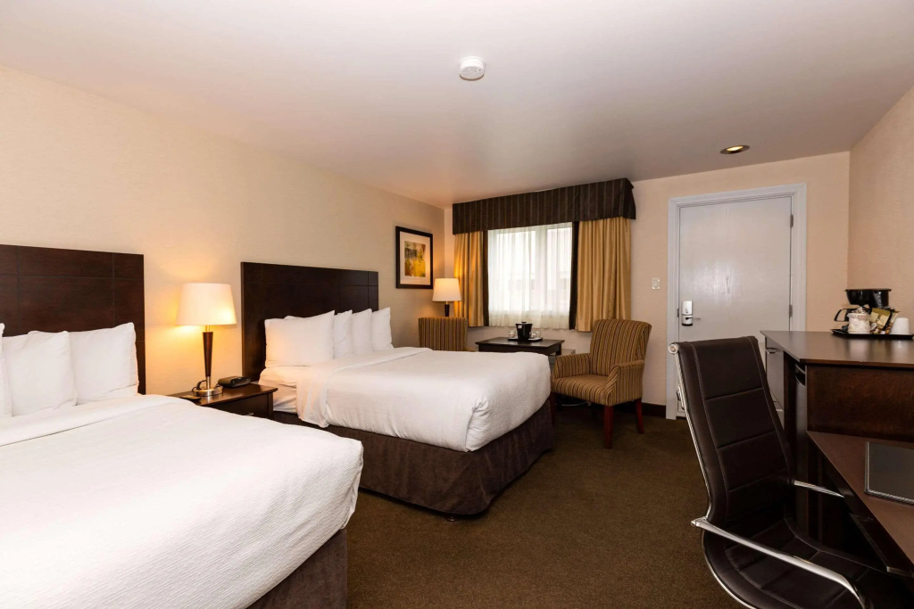 Quality Inn & Suites - фото 30