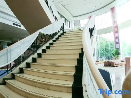 Balcony & Terrace