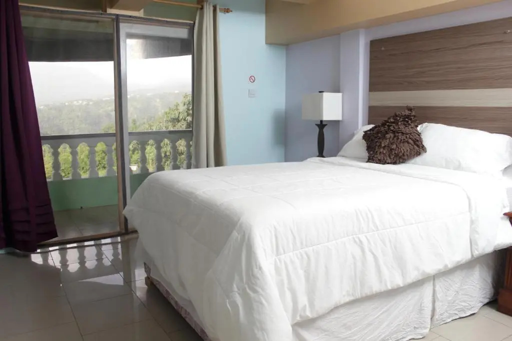 Standard Double room with balcony and with sea view (full double bed)