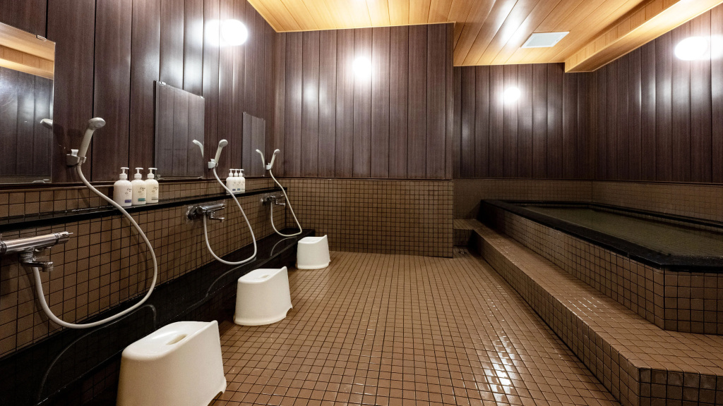 ANA Holiday Inn Iwate Kitakami by IHG - Général