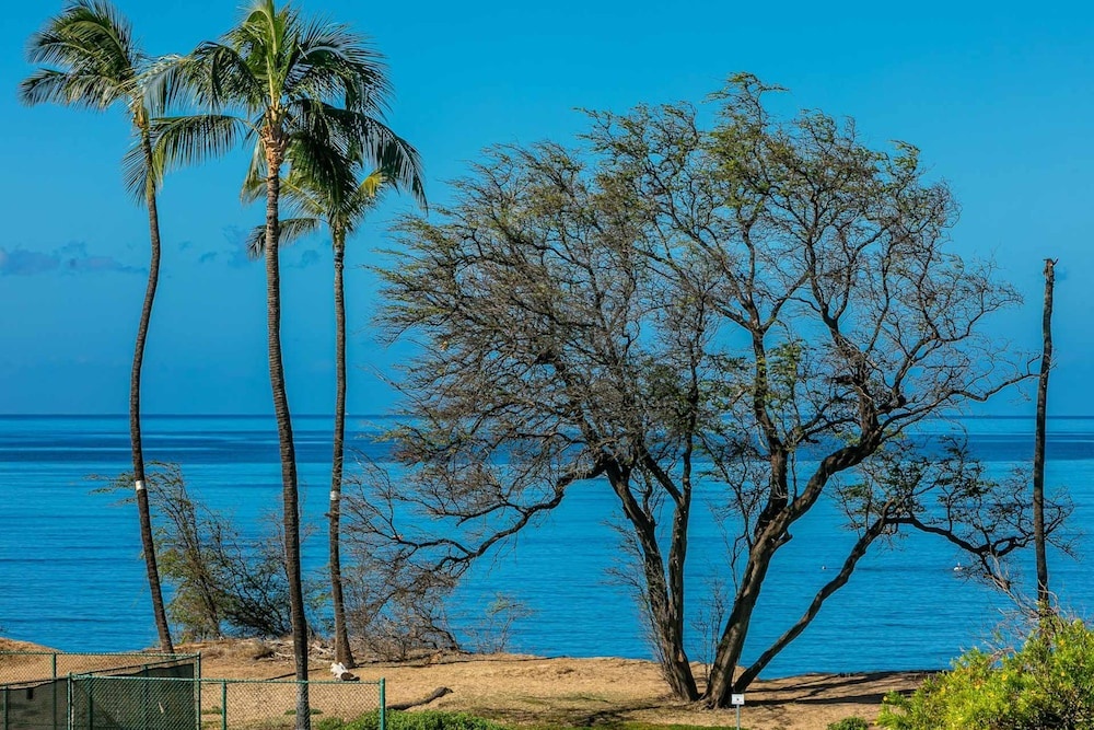 Beach & Waterfront